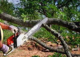 Best Lot and Land Clearing  in Monmouth, IL
